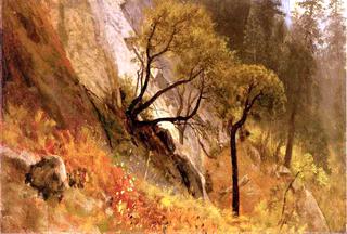 Landscape Study: Yosemite, California