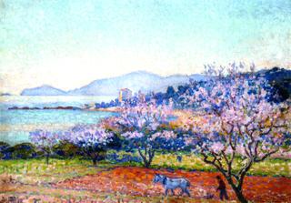 Almond Tree in Blossom