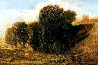 The Meadow