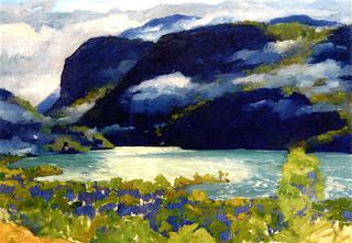 A Norwegian Fjord