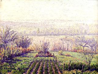 Landscape, Morning Fog