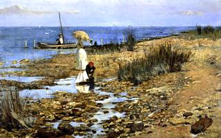 The Shore