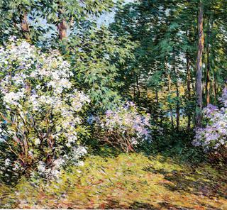 Laurel Woods