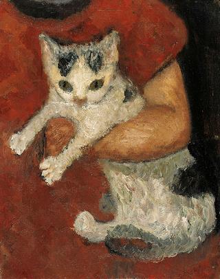 孩子怀里的猫