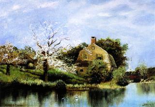 Apple Blossoms on the Pond