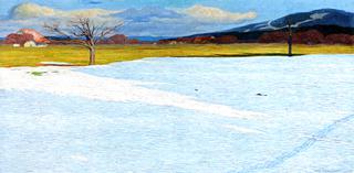 Snow at the Edge of the Forest, Emmenbrücke
