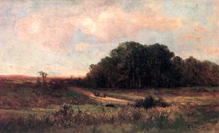 Sunny Landscape