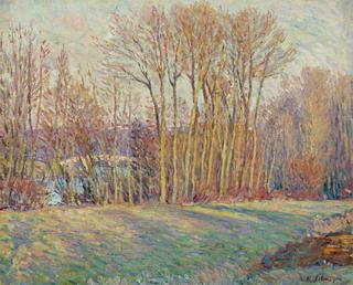 Poplars in Eragny