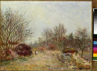Small Woodlot at Sablons