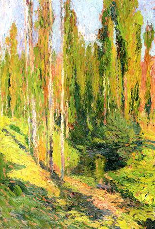 Study of Poplars