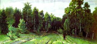 Forest Path in Abramtsevo