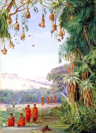 Vegetation of the Addo Bush with Kaffirs and Their Habitations