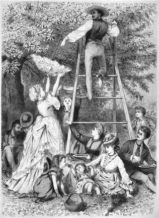 In the Garden