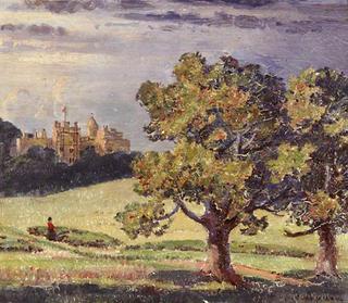 Dunster Castle and Park, from the South