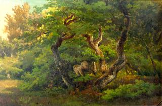 Oaks at the Edge of a Forest