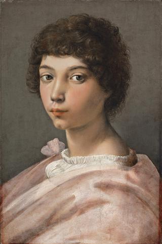 Portrait of a young Man