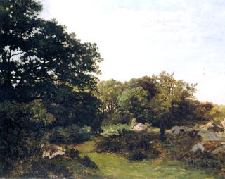 Fontainebleau Forest
