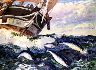 Horse Mackerel