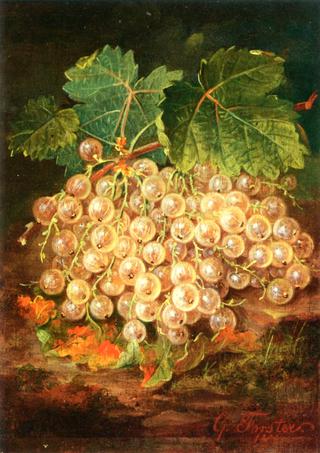 Still Life with Currants