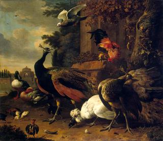 Exotic Birds in a Park