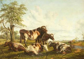 Landscape