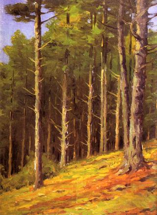 Standing Pines