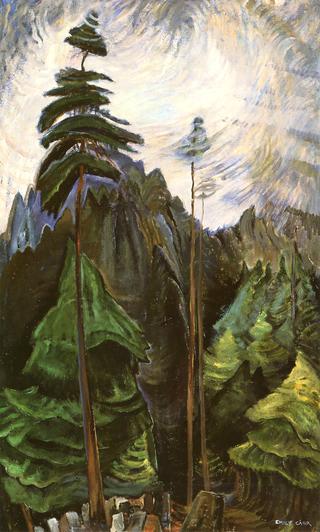 Mountain Forest