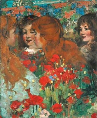 Poppies