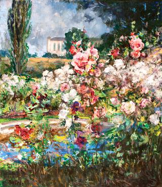 Hollyhocks and Sunshine