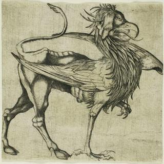 The Griffin