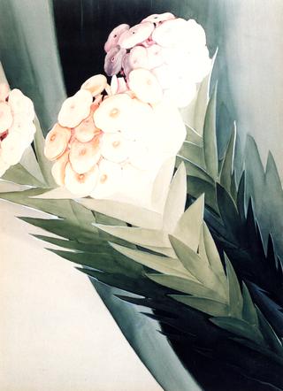 Tropical Flowers