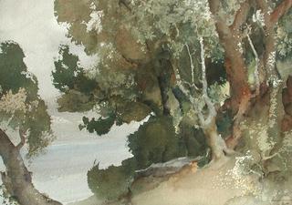 Wooded Shores, Loch Earn, Perthshire