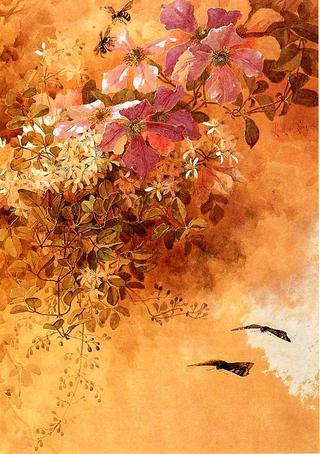 Flowers and Insects