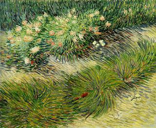 Lawn with Butterflies