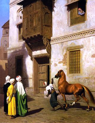 Horse Merchant in Cairo