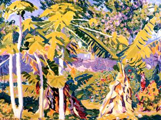 Bermuda, Tropical Floral