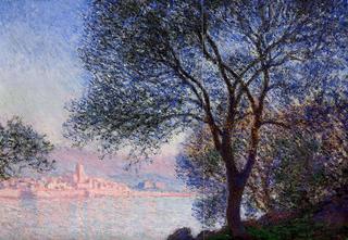 Antibes Seen from the Salis Gardens