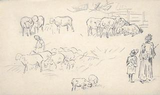 Study of sheeps and shepherds