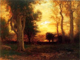 Evening in the Forest