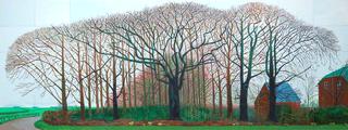 Bigger Trees near Warter