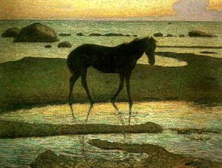 Horse at the Beach