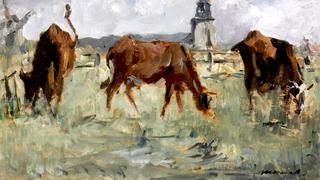 Cows at a Pasture