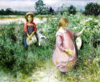 Picking wildflowers