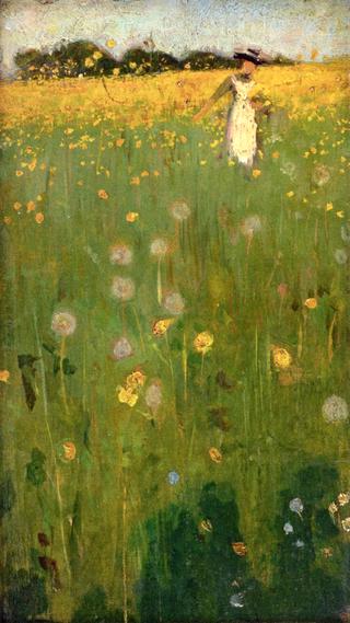 The Dandelion Field