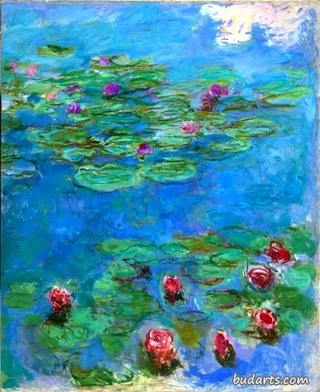 Red Water-Lilies
