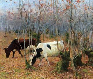 Cows in a Copse