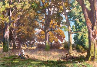 Woods in Autumn