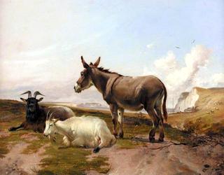 On the Downs