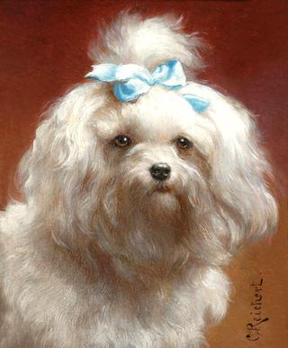 The blue bow