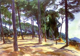 At Frascati